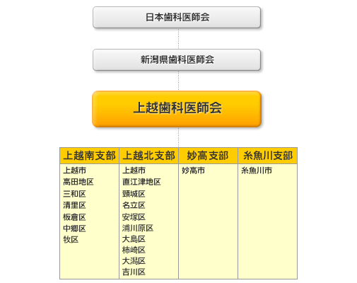 歯科医師会の構成